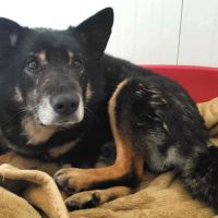 Gandalf attend sa famille !