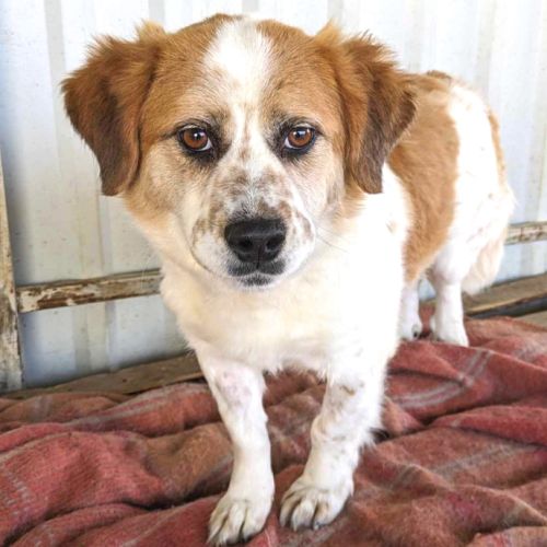 Yaka recherche une famille aimante #0