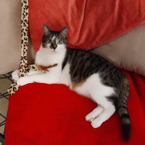 Tomy attend sa famille ! #3