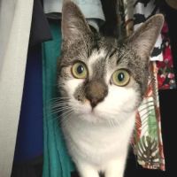 Tomy attend sa famille !