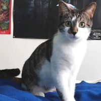 Tomy attend sa famille ! #2