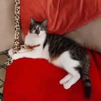 Tomy attend sa famille ! #3