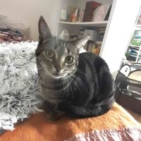 Uni à l'adoption partout en france