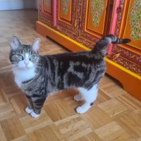 Adorable junior-corole #2