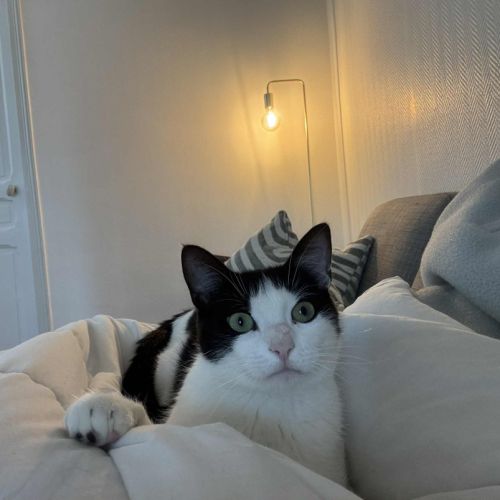 Poupette une jeune minette douce #2