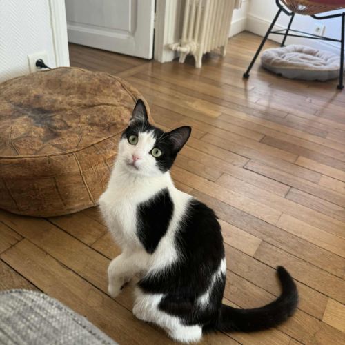 Poupette une jeune minette douce