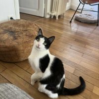 Poupette une jeune minette douce #0