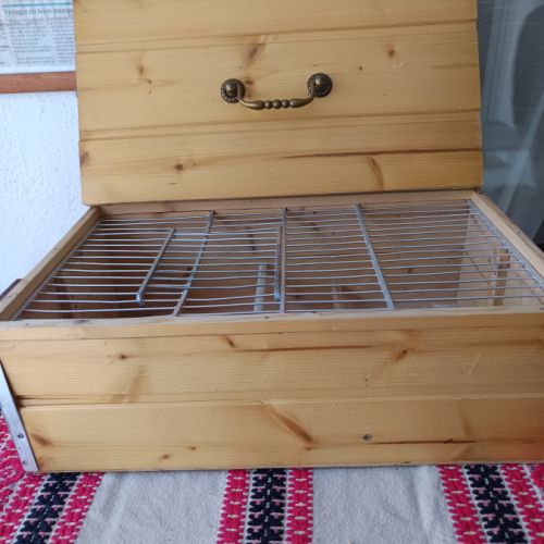 Vend canaris raza espagnol #5