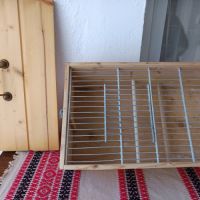 Vend canaris raza espagnol #6