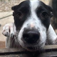 Une perle d'amour nommée pépette #3