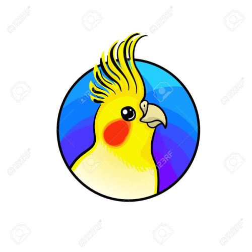 Cherche mâle calo eam #0