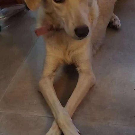 Suzie la douce et belle louloute #8