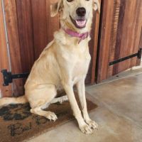 Suzie la douce et belle louloute #6