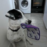 Vador l'adorable petit guerrier tripatte #2