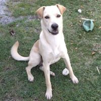 Budy le magnifique #5