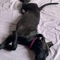 Enia la courageuse #3