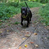 Paty, une créole en normandie #1