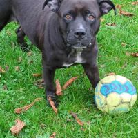 Paty, une créole en normandie