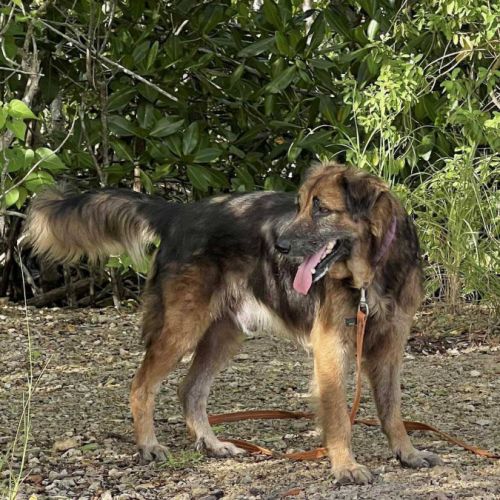 Bobby attend toujours sa famille #5