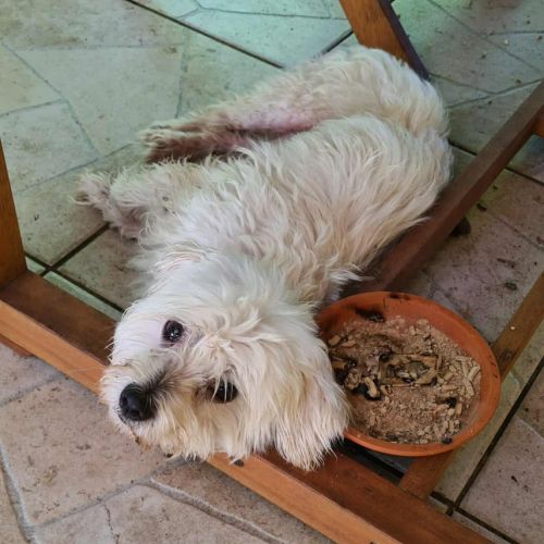 Cooper le joli coeur #2