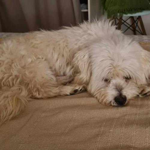 Cooper le joli coeur #6