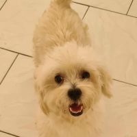 Cooper le joli coeur #3