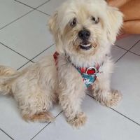 Cooper le joli coeur #4