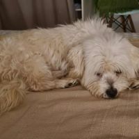 Cooper le joli coeur #6