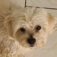 Cooper le joli coeur #7