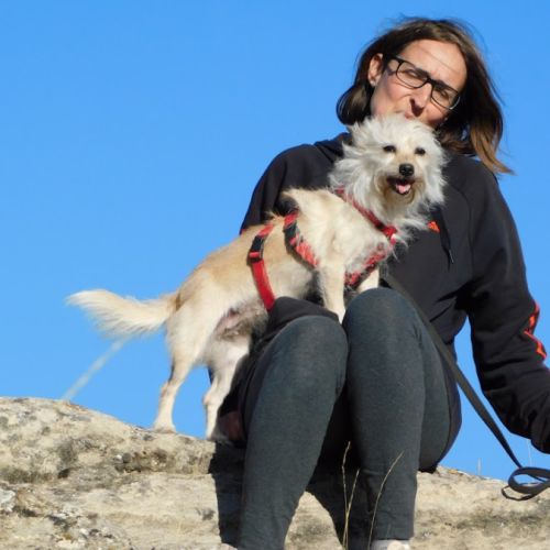 Chia, toute petite chienne de 5 kg à adopter #2