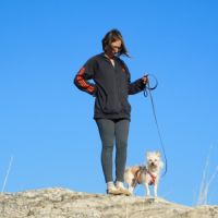 Chia, toute petite chienne de 5 kg à adopter #5