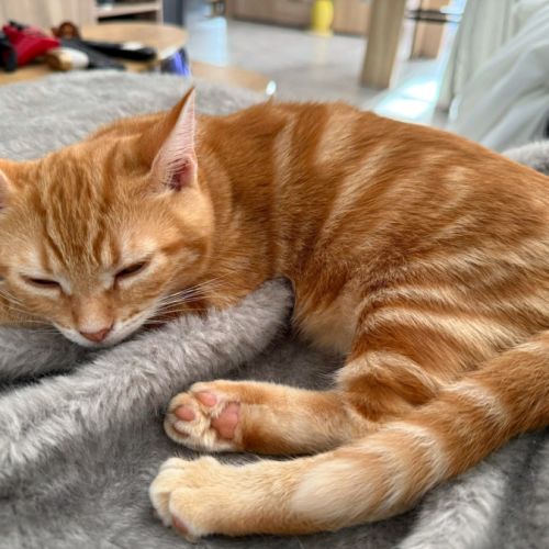 Zao** petite minette joueuse et gourmande