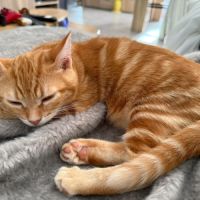 Zao** petite minette joueuse et gourmande