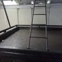 Perruche a collier mâle #5