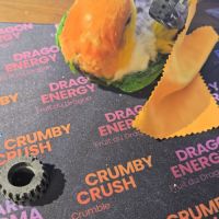 Caïque eam bien dressé au rappel et à l extérieur #7