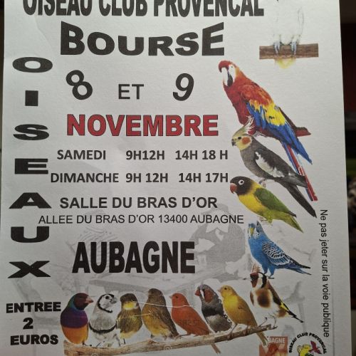 Exposition bourse d oiseaux