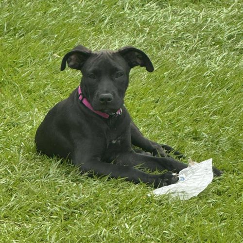 Enia la courageuse #0