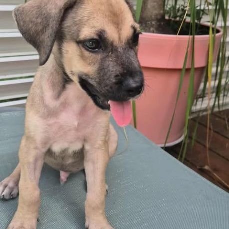 Coucou moi boubou #1