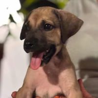 Coucou moi boubou #2