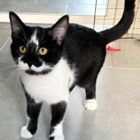 Nyra, joueuse, curieuse et attachante #3