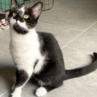 Nyra, joueuse, curieuse et attachante #4