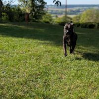 Paty, une créole en normandie #2