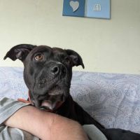 Paty, une créole en normandie #3