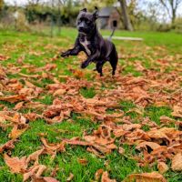 Paty, une créole en normandie #6