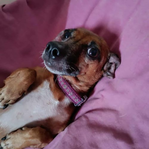 La joyeuse nany ! #1