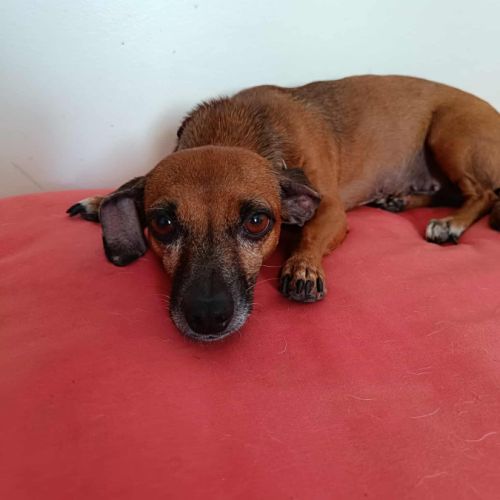 La joyeuse nany ! #3