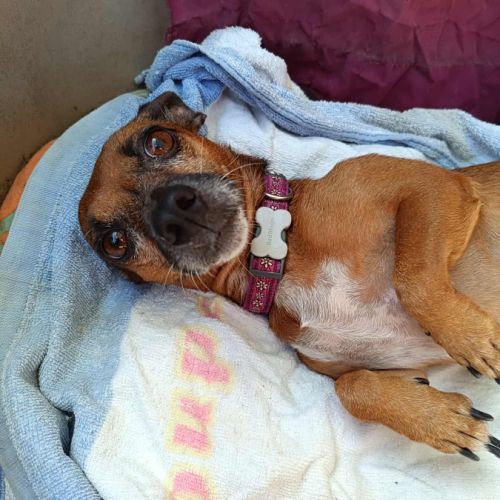 La joyeuse nany ! #7