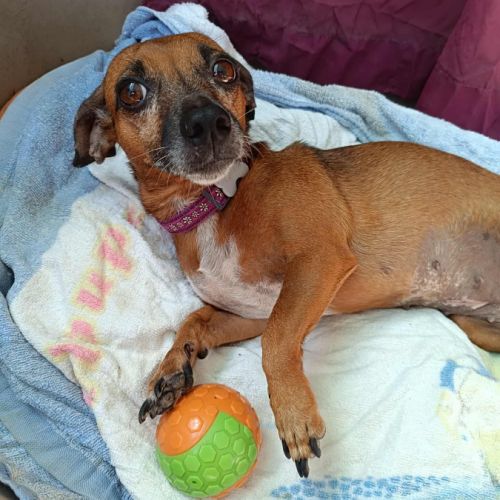 La joyeuse nany ! #8