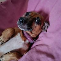 La joyeuse nany ! #1