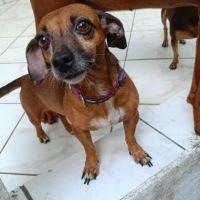 La joyeuse nany ! #2